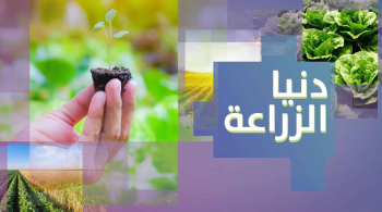 دنيا الزراعة