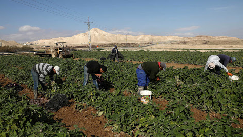 خبير في القانون الدولي: الاردن يمتلك مروحة من الخيارات للرد على خطة "الضم" - فيديو