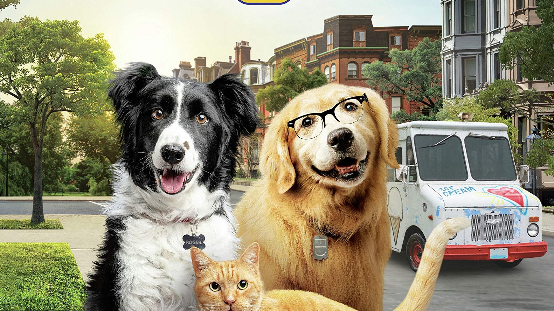 ببغاء شرير يتسبب بفك السلام بين القطط والكلاب في فليم Cats & Dogs 3: Paws Unite