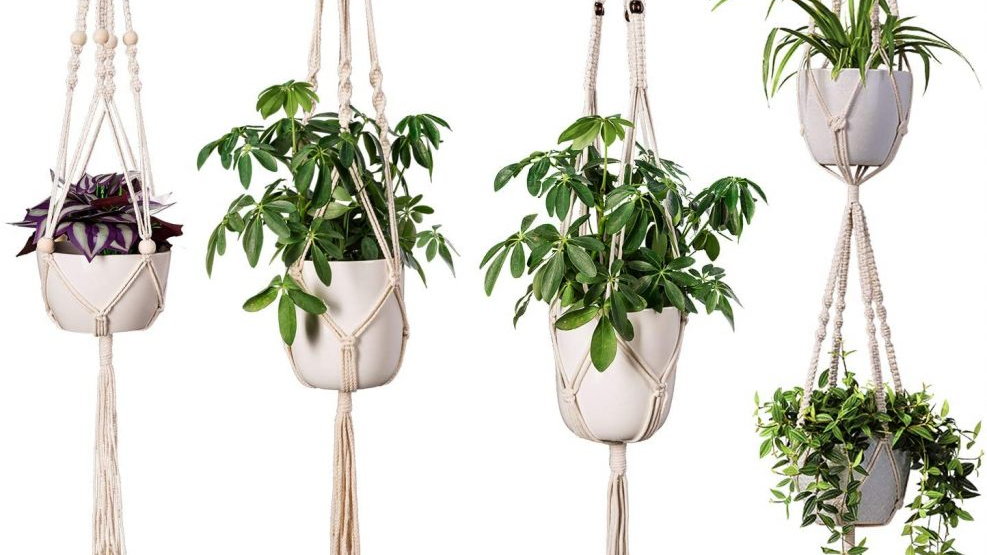 كيف نصنع حامل قوارير نباتات؟ - فيديو